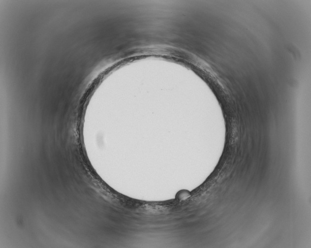 X0000110721312200907241158