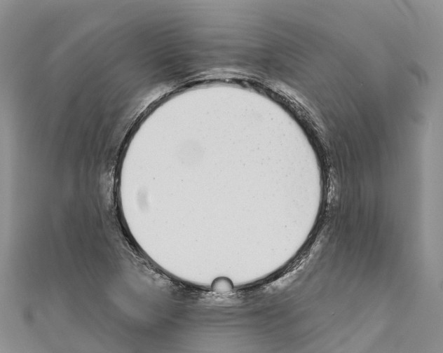 X0000110721313200907241158