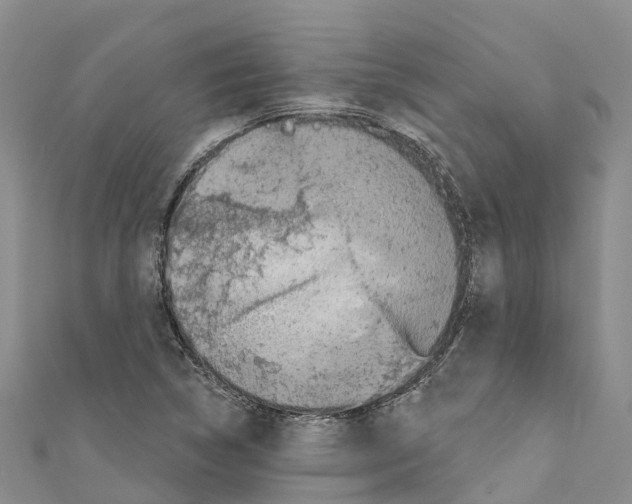 X0000110721314200907241158