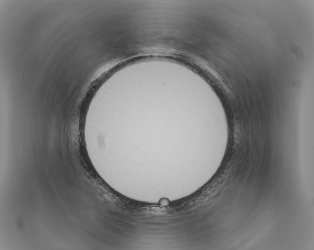 X0000110721315200907241158