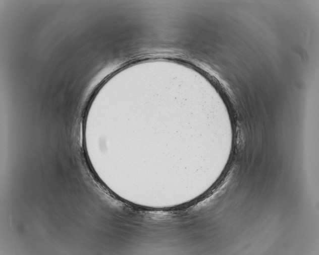 X0000110721317200907241158