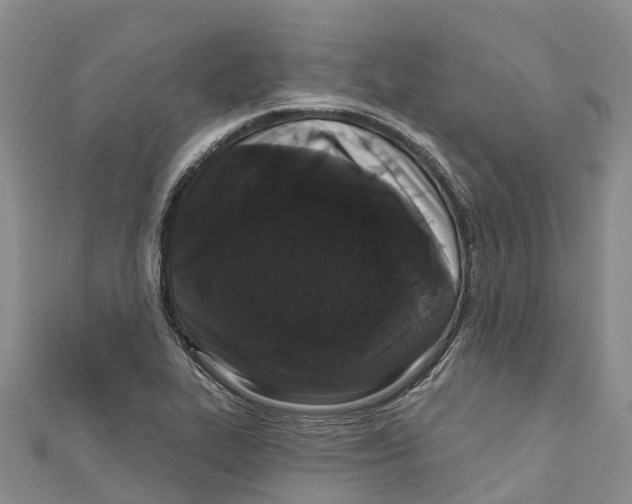 X0000110721319200907241158