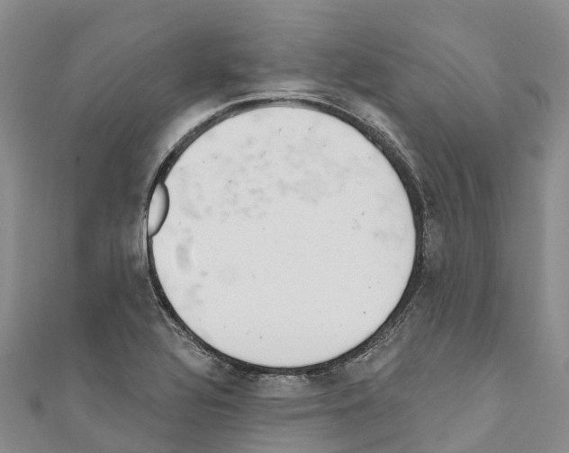 X0000110721320200907241158