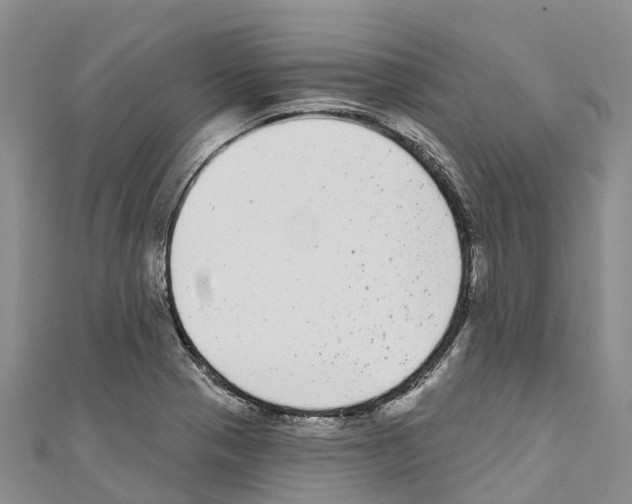 X0000110721321200907241158