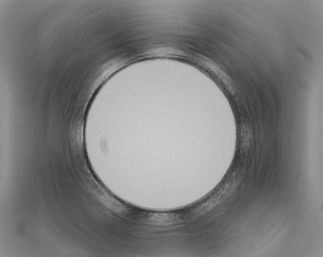 X0000110721322200907241158