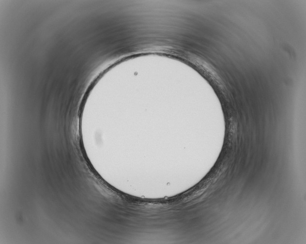 X0000110721324200907241158