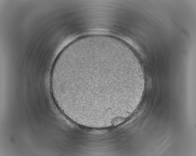 X0000110721325200907241158