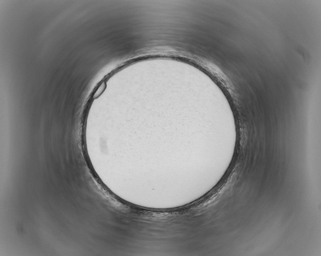 X0000110721326200907241158