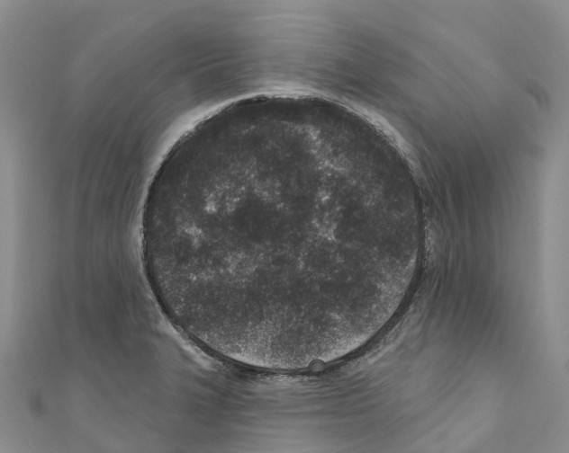 X0000110721327200907241158