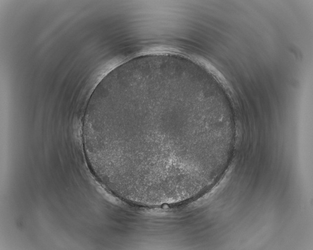 X0000110721329200907241158