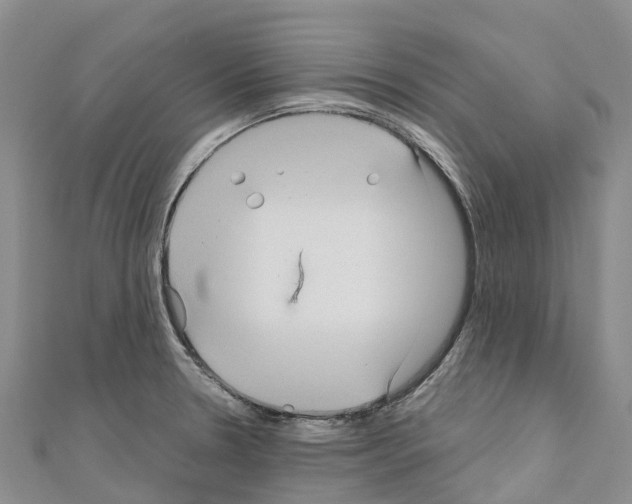 X0000110721330200907241158