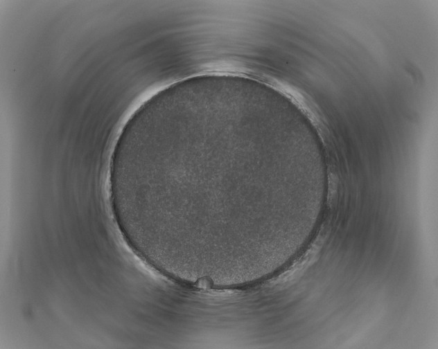 X0000110721331200907241158