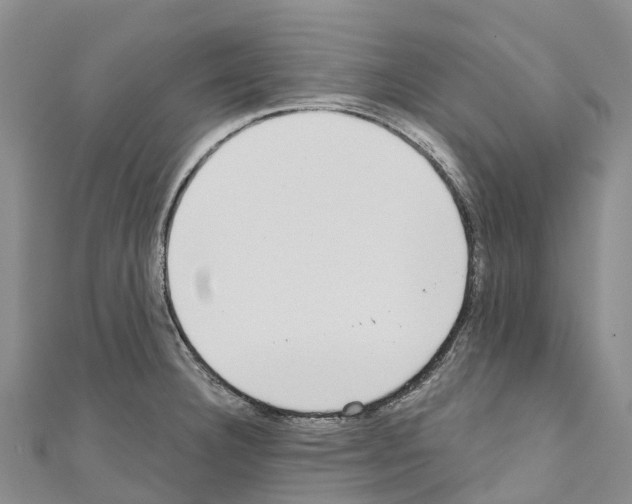 X0000110721332200907241158