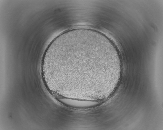 X0000110721333200907241158