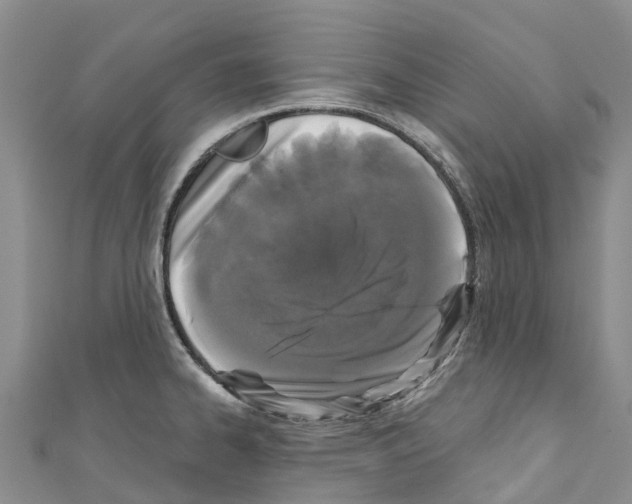 X0000110721334200907241158