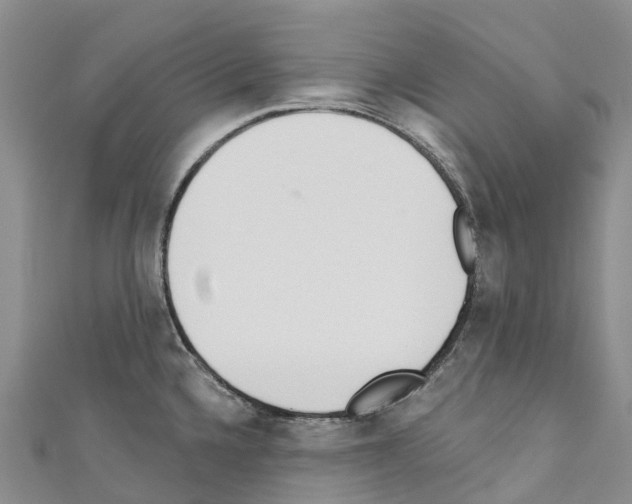 X0000110721336200907241158