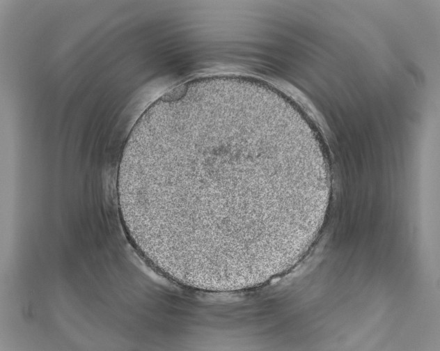 X0000110721337200907241158