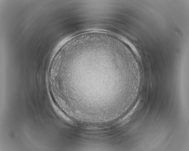 X0000110721338200907241158