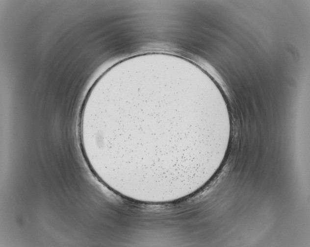 X0000110721339200907241158