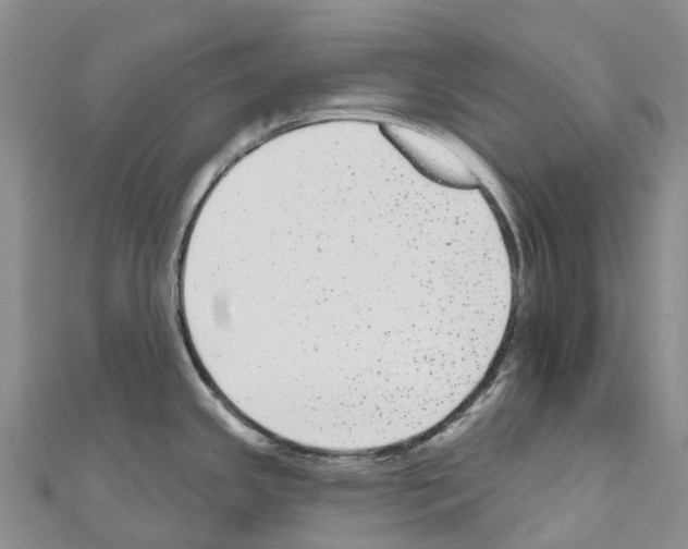 X0000110721341200907241158