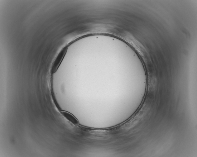 X0000110721342200907241158