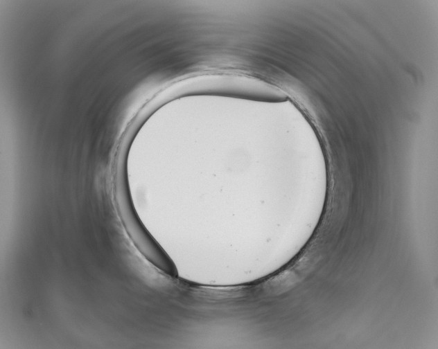 X0000110721344200907241158