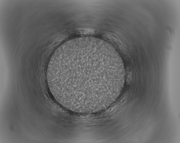 X0000110721345200907241158