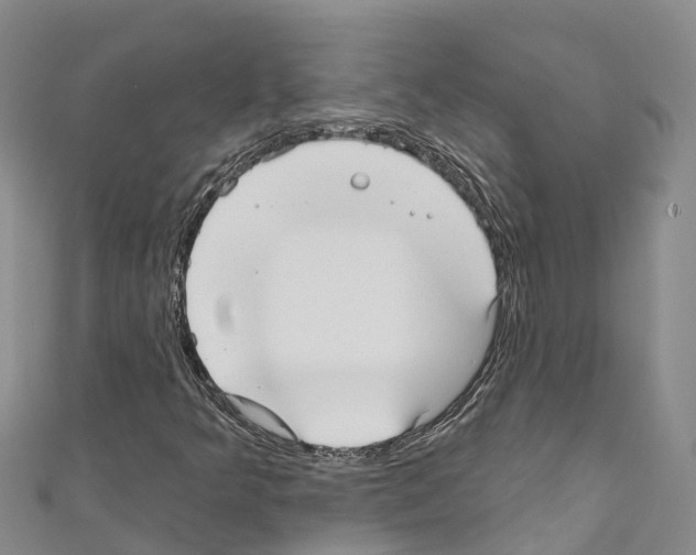 X0000110721349200907241158