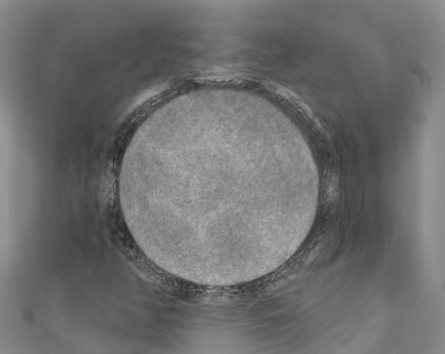 X0000110721350200907241158