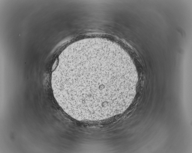 X0000110721351200907241158