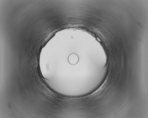 X0000110721353200907241158