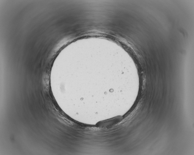 X0000110721355200907241158