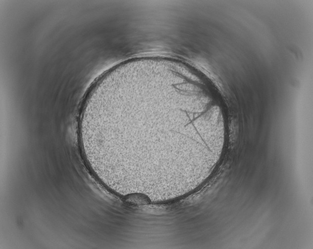 X0000110721356200907241158