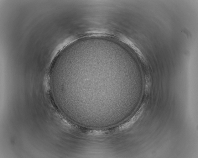 X0000110721357200907241158