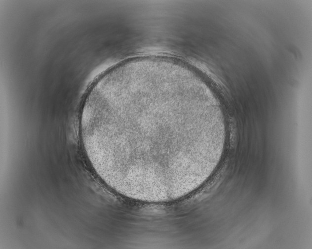 X0000110721358200907241158