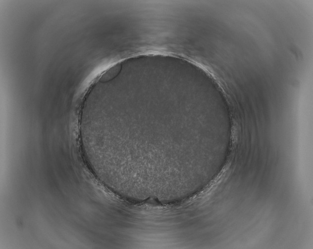 X0000110721359200907241158