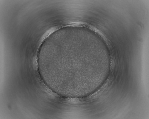 X0000110721362200907241158