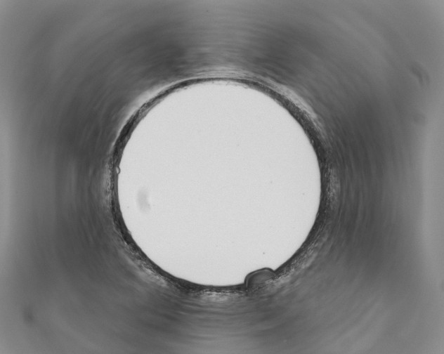 X0000110721364200907241158