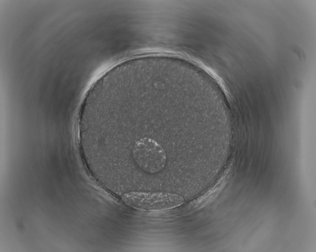 X0000110721365200907241158