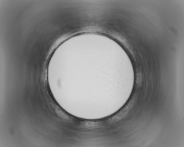 X0000110721366200907241158