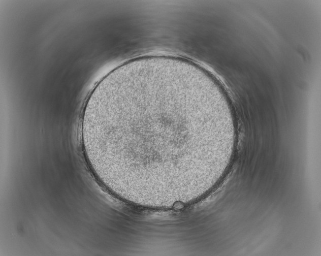 X0000110721367200907241158