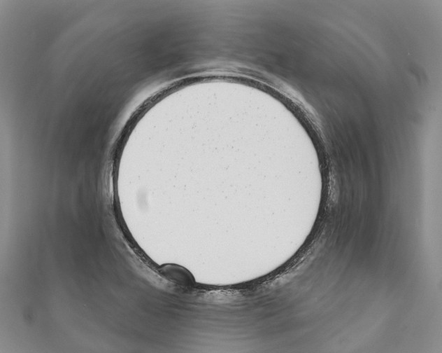 X0000110721368200907241157