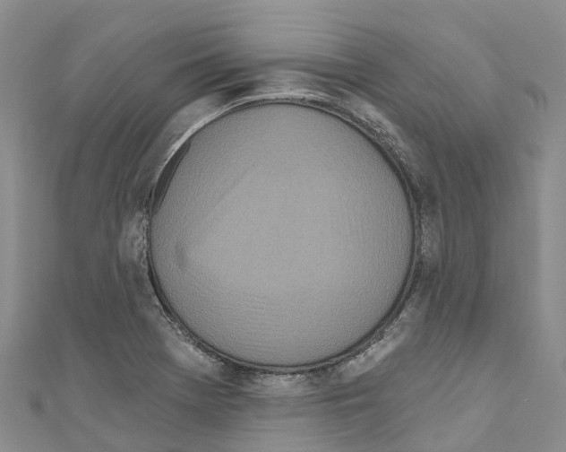 X0000110721369200907241157