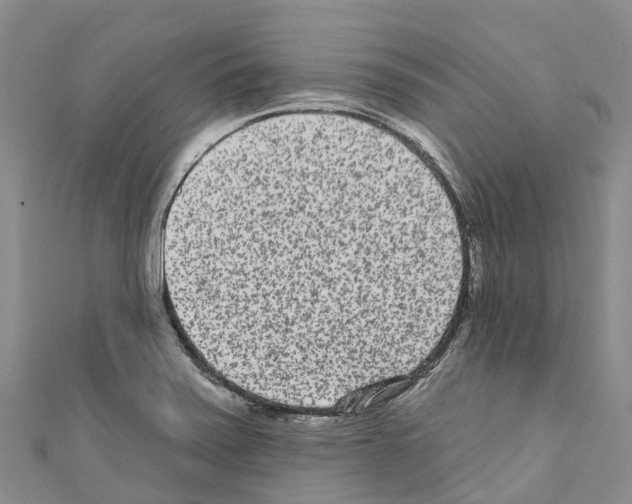 X0000110721371200907241157