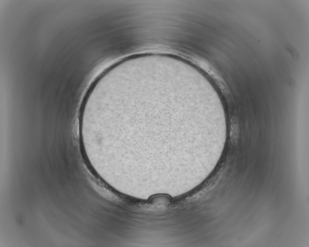 X0000110721372200907241157