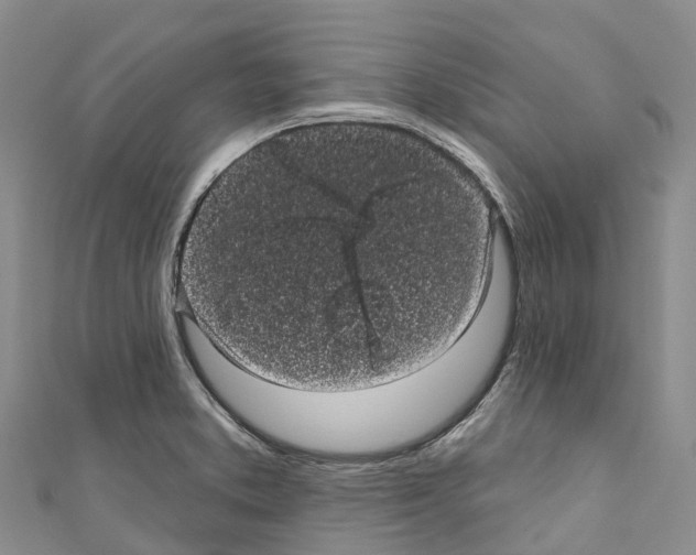 X0000110721373200907241157