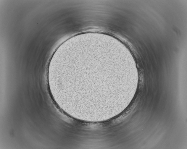 X0000110721375200907241157