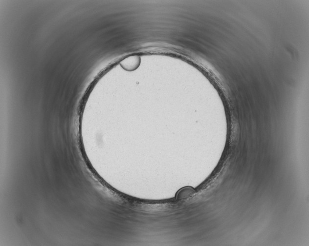 X0000110721376200907241157