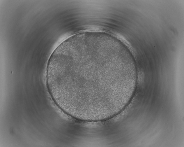 X0000110721378200907241157