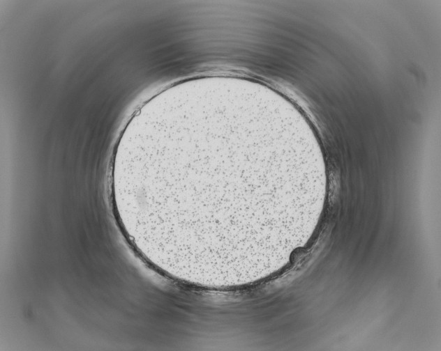 X0000110721379200907241157